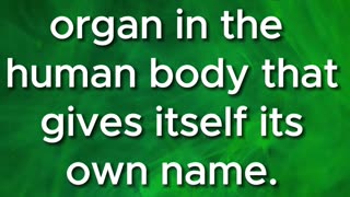 🤔Can you solve the riddle??🤔 #56