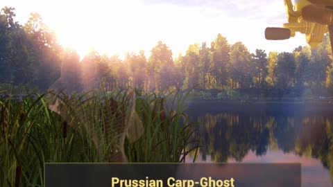 Fish Ghost Prussian carp, bait Ghost Worm, Fishing planet game