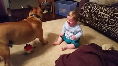 Baby laughing at dog & bubbles