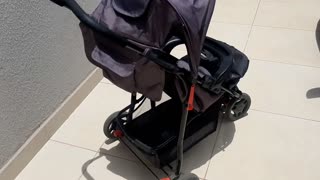 Carrinho Voyage é bom? Carrinho Travel System Delta Voyage - Carrinho de bebê