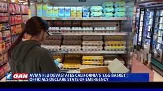 Avian Flu Devastates California's 'Egg Basket'