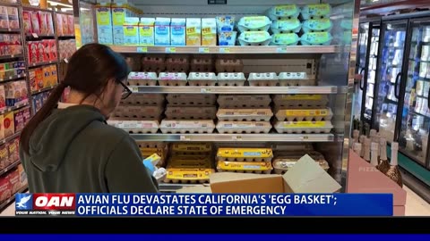 Avian Flu Devastates California's 'Egg Basket'