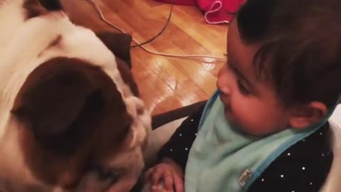 BodyGaurd Dog Protect Baby In His Room As Mother Ordered Him