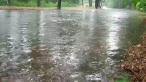 This guy voluntarily drained flooded street with his garden rake