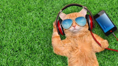 Cinemagraph - Cat headphones wearing sunglasses relaxing in the grasse