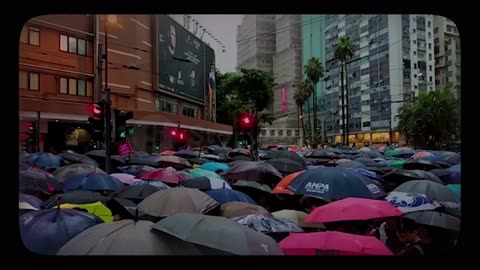 Umbrella Movement - Wild Cards {AOTEAROA}