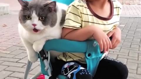 the friendship of this cat and this little boy