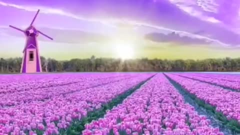 Whatsapp Status __ Share With You The Beautiful Scenery _ Stay Tuned For The Bast Nature #shorts (2)