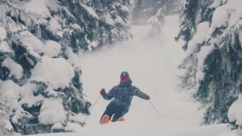 POWDER ALERT! Everybody stay calm. Get your fill of