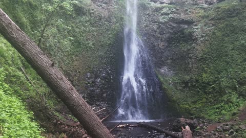 SILENT PERSPECTIVE of Double Falls! | Trail of Ten Falls | Silver Falls State Park | Oregon | 4K