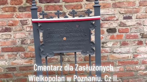 079 No War. Cmentarz Wybitnych Wielkopolan. Poznań. Sławomir Sikora