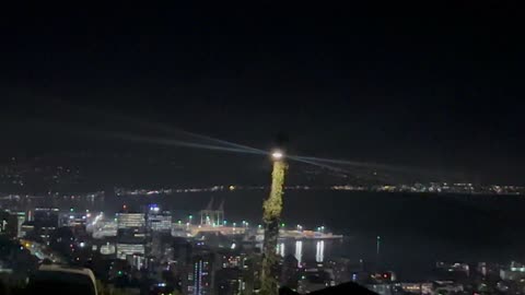 Wellington night view