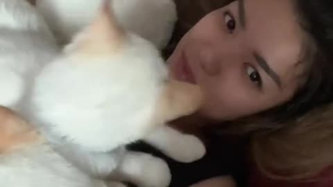 The Purr-Fect Wake-Up Call