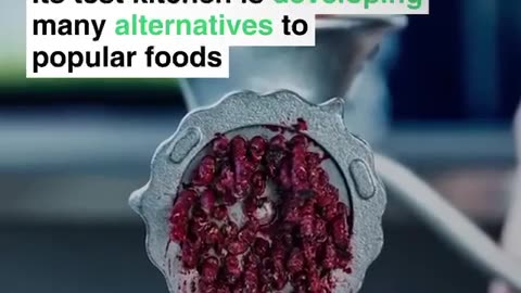BROUGHT TO YOU BY NONE OTHER THEN THE WEF IKEA IS EXPERIMENTING 😱WITH INSECTS 🪳FOOD