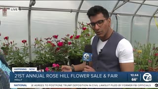 Rose Hill Flower Sale & Fair