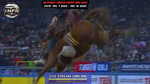 Watch national finals rodeo 2023 Live |nfr 2023|2023 nfr las vegas