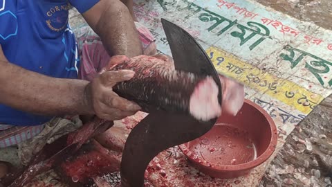 Big Gojar Fish Cutting By Expert Fish Cutter l Amazing Cutting Skills