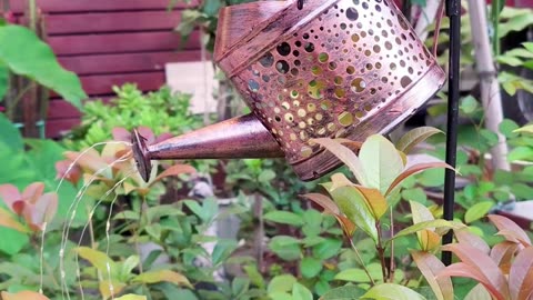 Add Some Magic to Your Garden with our Watering Can Lights ✨