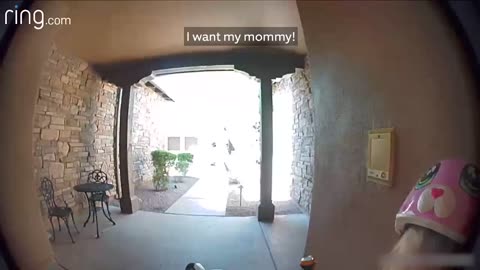Taylor Talks to Her Neighbor On Ring Video Doorbell After Running Away From a Bobcat _