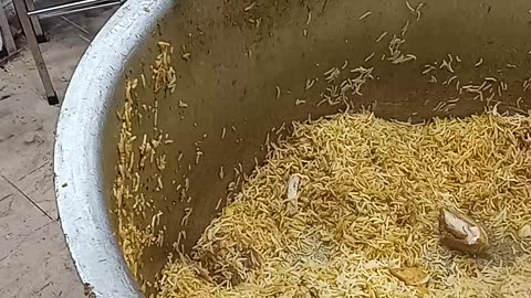 Best biryani in Pakistan Karachi spicy and testy