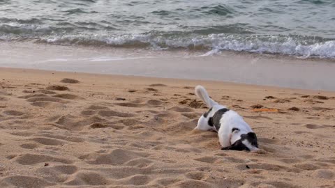 Beach day