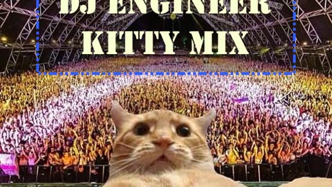 DJ Engineer - Kitty Mix