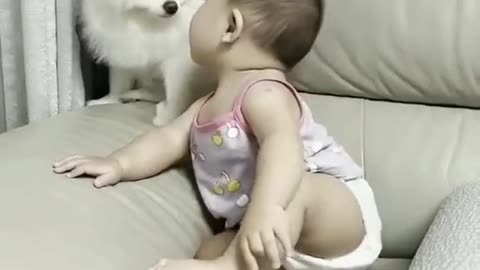 Funny baby dogs 😂 cutest dogs 2023