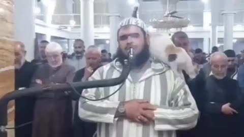 During Taraweeh prayer in Algeria Cat on Imam's Shoulders #shorts #short #viral #viralvideo #cat