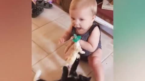 Funny cat and baby