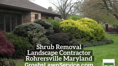 Shrub Removal Rohrersville Maryland Landscape Contractor