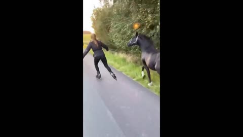 Dogs Jumps with Man equally. Horse running with Scatting Girl.