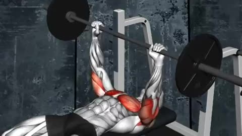 Top 5 Chest Exercises