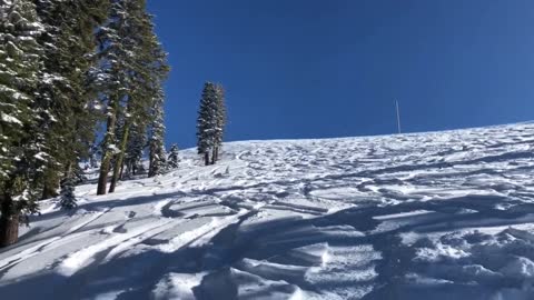 Snowfall Totally Transforms Sierra Nevada Snowpack in Just 3-Weeks