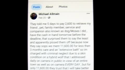 Michael Allmain Statement regarding his Dog