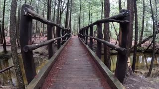 Foot Bridge