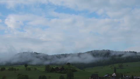 FOGGING LANDSCAPE FOREST