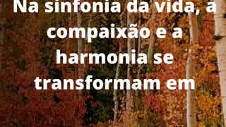 #compaixãoeharmonia