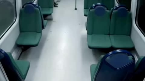 Ghost in Train