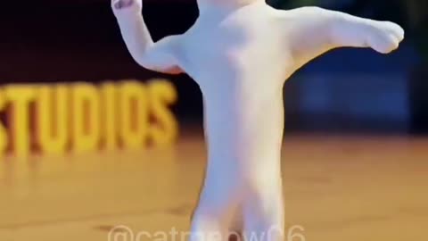 cat dance cute funny