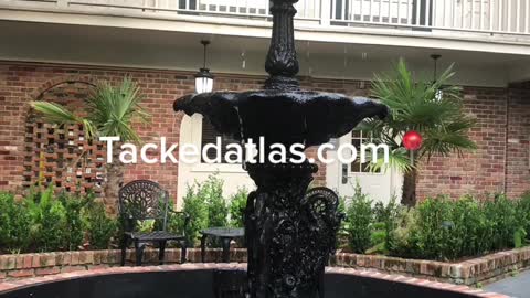 Book a Room in New Orleans