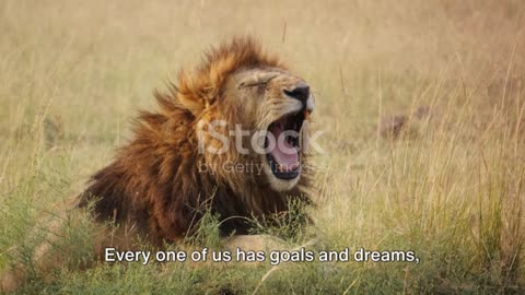 No matter the economy in the jungle, the lion never eat grass