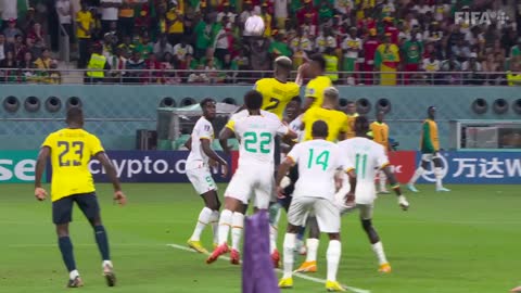 Koulibaly steals the show Ecuador v Senegal FIFA World Cup Qatar 2022