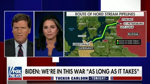 Tulsi Gabbard: The Biden Administration Got Caught Lying About the Nord Stream Pipeline