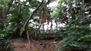 DISNEY DISCOVERY ISLAND ABANDONED