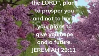 God's Promises JEREMIAH 29:11