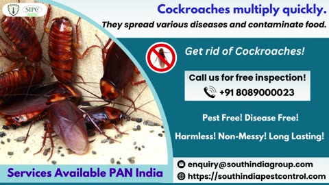 Cockroach Pest Control in Bangalore