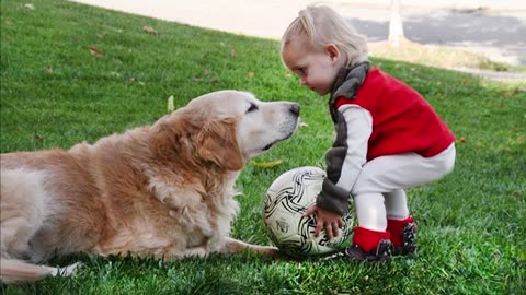 When we had a happy childhood together - Cute dog and little human