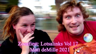 Matt deMille: Lotsalinks V17