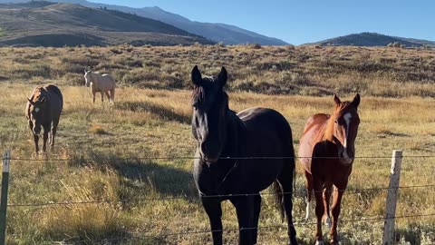 Rawlins, WY to Rifle, CO.