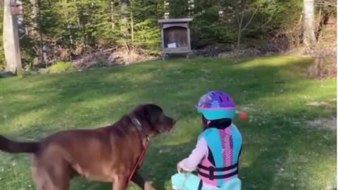 Little girl tries to play with her dog